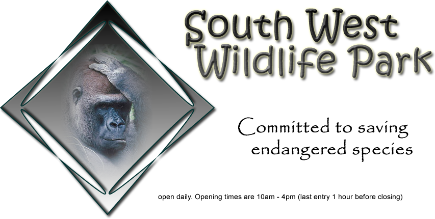 South West Wildlife Park
